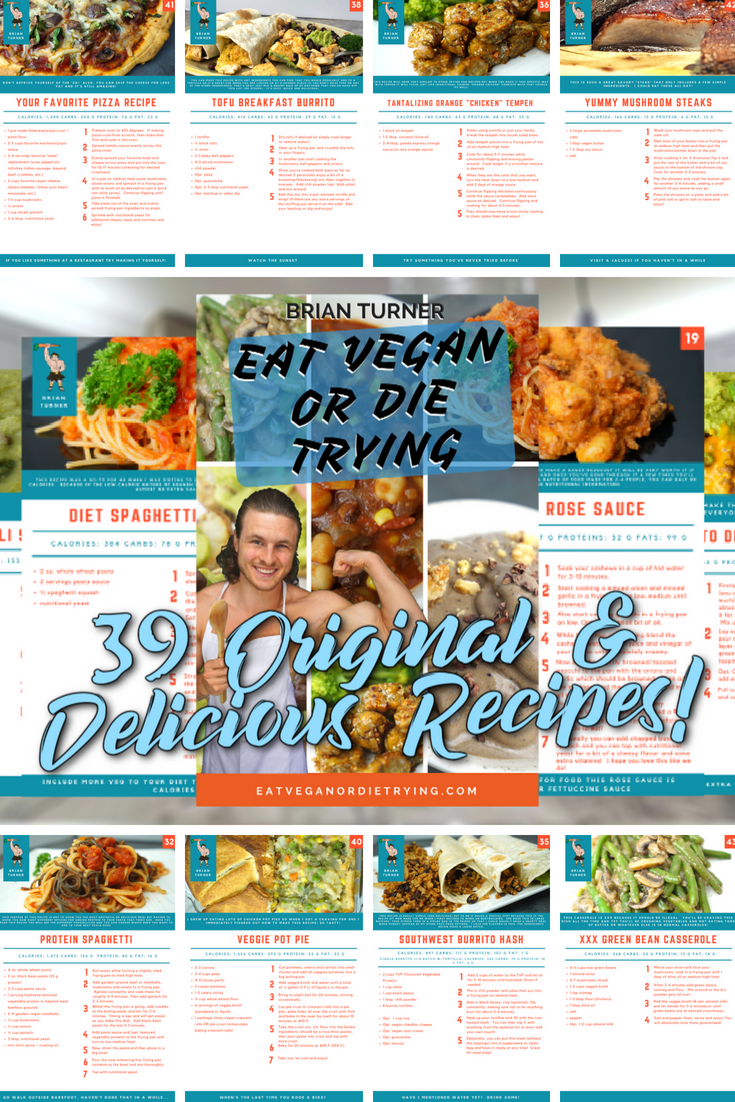 Eat Vegan or Die Trying Recipe Book