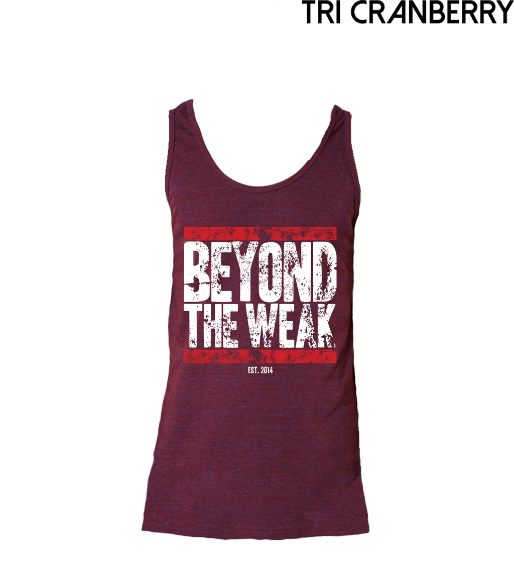 Battle Worn TriTech Tank
